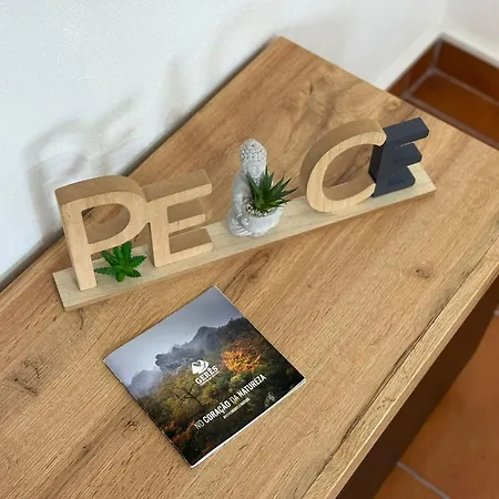 Wildvalley בראגה