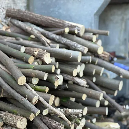 Wildvalley בית נופש *