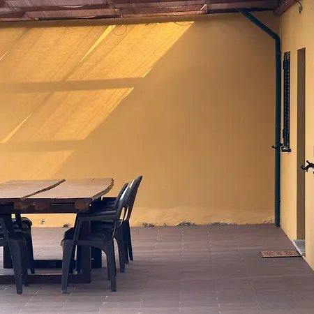 Wildvalley בראגה