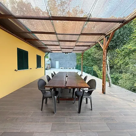 Wildvalley בראגה