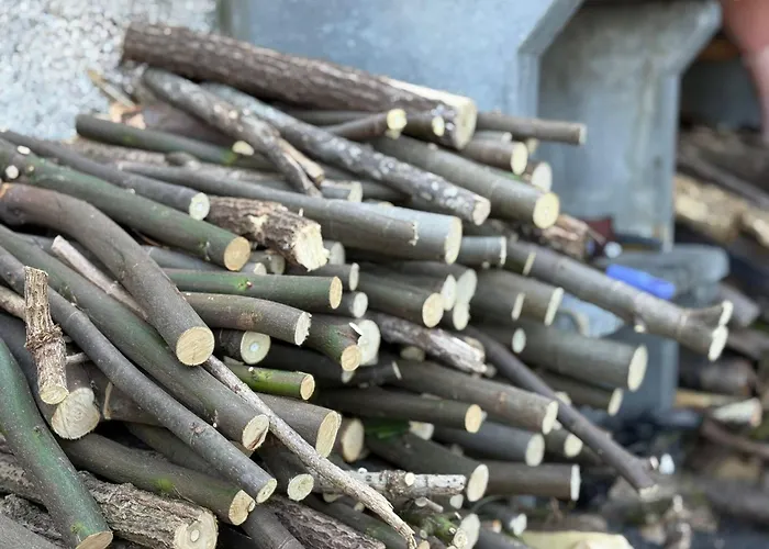 Wildvalley Ferienhaus *